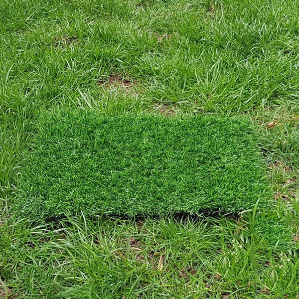 Image 14
