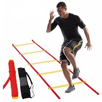 Agility Trainning Ladder