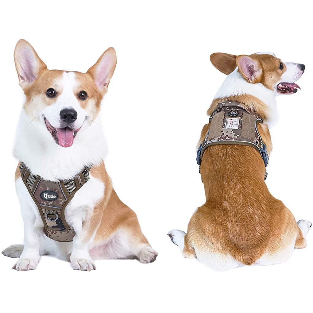 corgi tactical vest