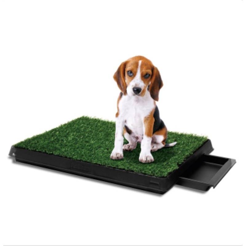 Buy Qttie Large Dog Pet Potty Training Pee Pad Mat Toilet Puppy Tray ...