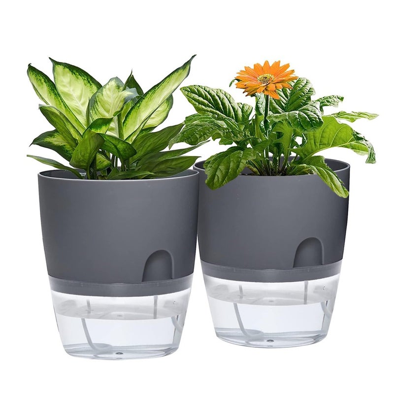 Buy SpringUp 2 PCS Self Watering Pot/Planter Plastic Clear Self Flower ...