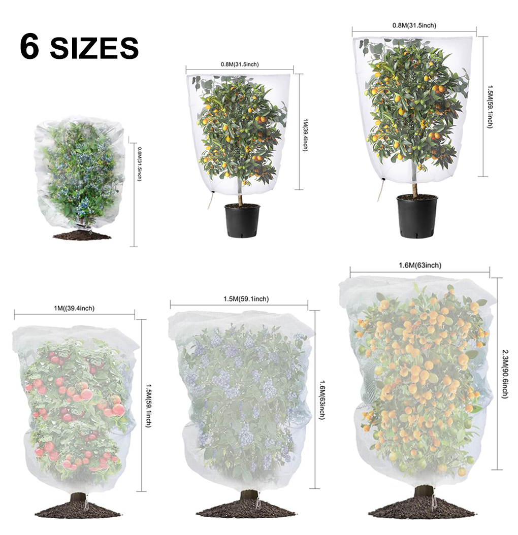 Buy SpringUp Fruit Fly Net Insect Mesh Vegetable Garden Plant Crop ...