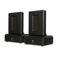 Aperion Audio Dual AMT Ribbon Super Tweeter Speaker Pair