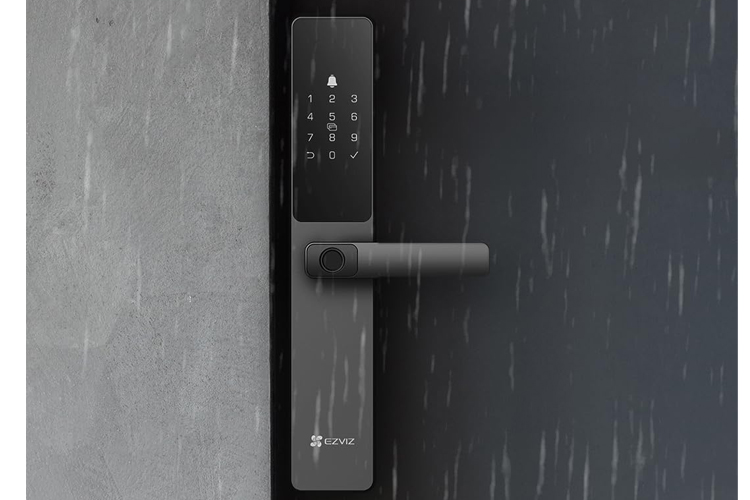 Image 4