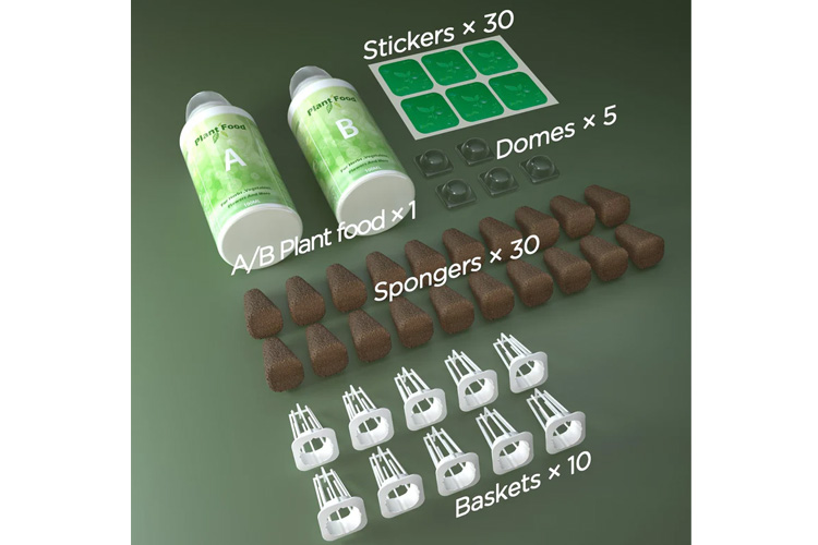 Image 2