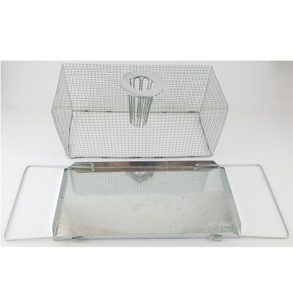 Image 3