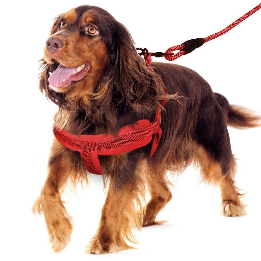 Red Adjustable Dog Harness Leash Set Mesh Pet Puppy Vest Lead For Medium Large Dog