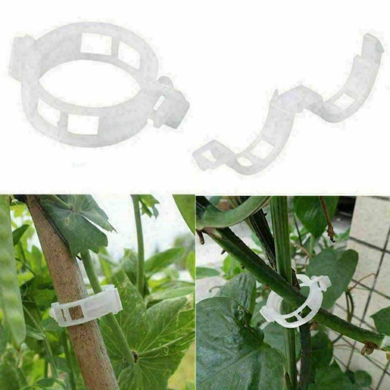 Buy Ozoffer 100 Pcs Tomato Greenhouse Garden Plant Support Veggie Clips