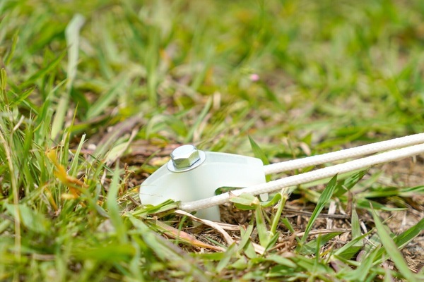 Image 9