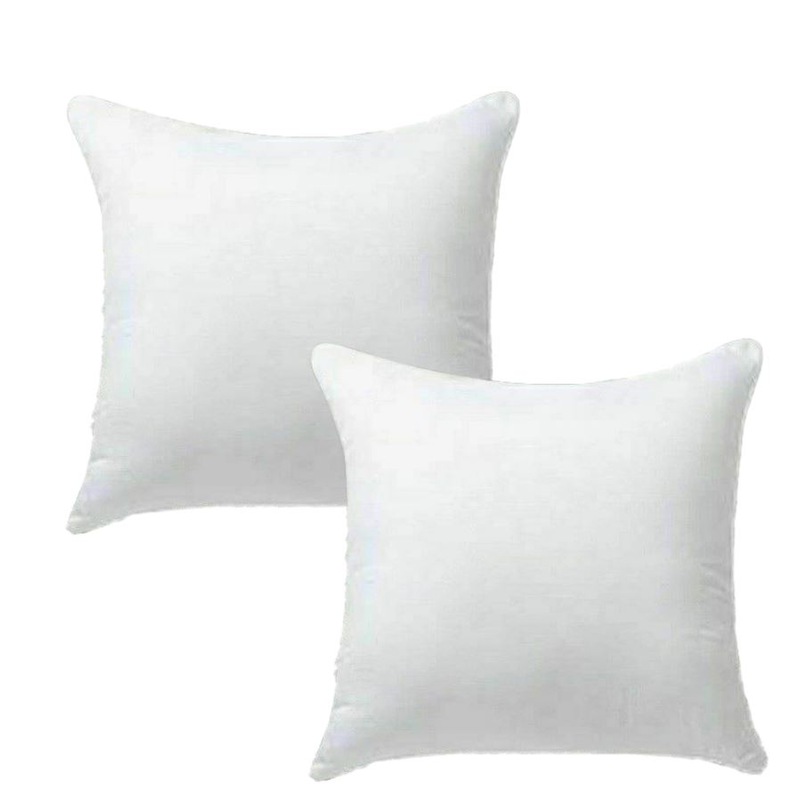 Buy Ozoffer 2pcs Memory Resilient Cushion Pillow 45x45/Inserts ...