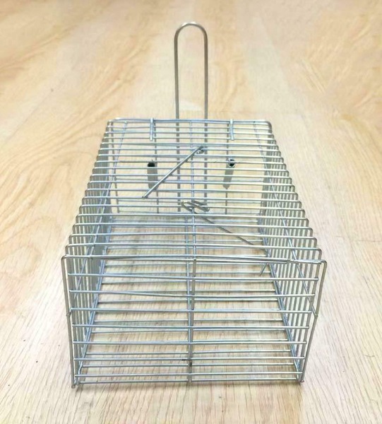 Image 2