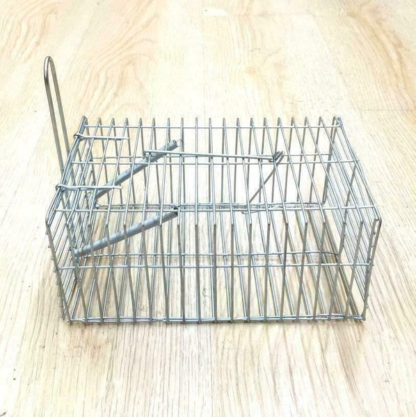 Image 3