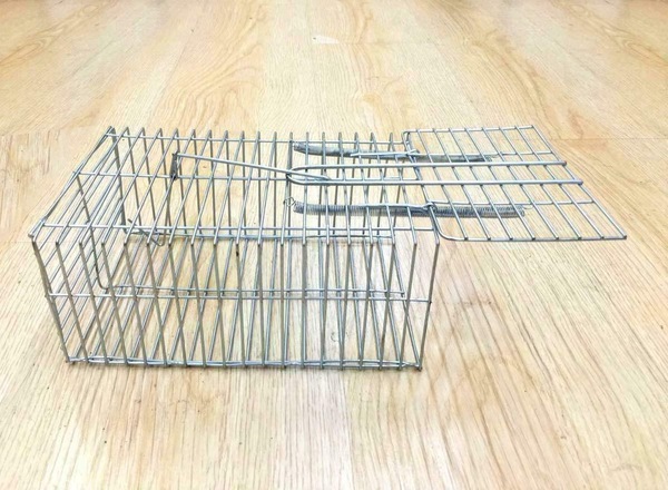 Image 4
