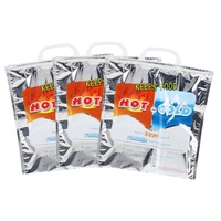 Ozoffer 3PCS Home Master?Thermal Bags With Snap Lock Handle Hot/Cold Reusable
