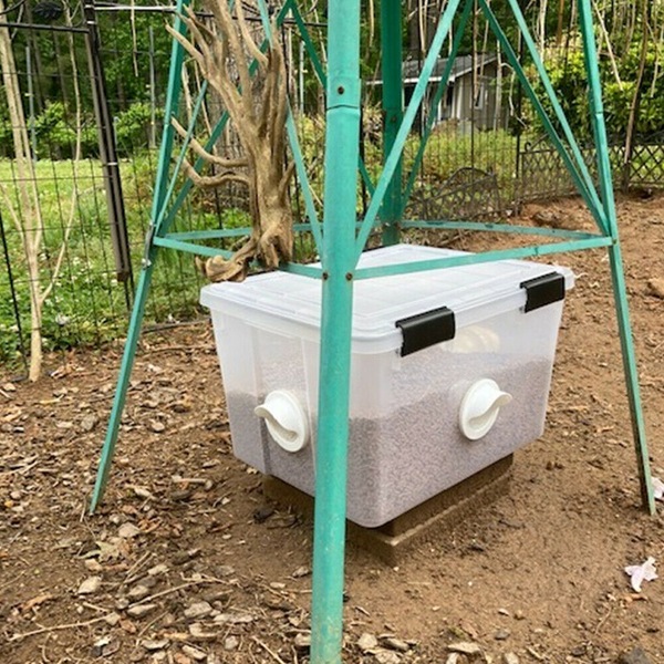 Image 12