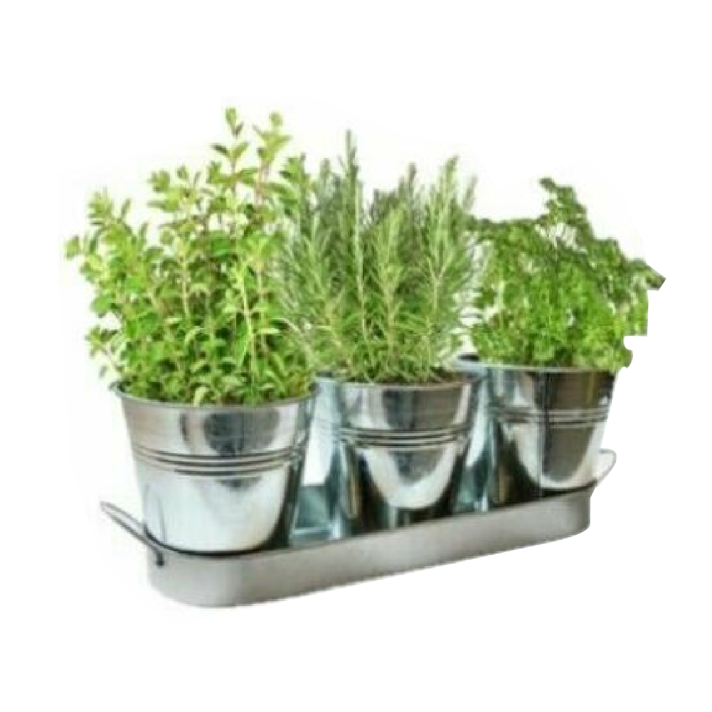 Ozoffer 4pcs/Set Herbs Pot Planter Set with Tray Succulent Windowsill Metal Caddy Plants