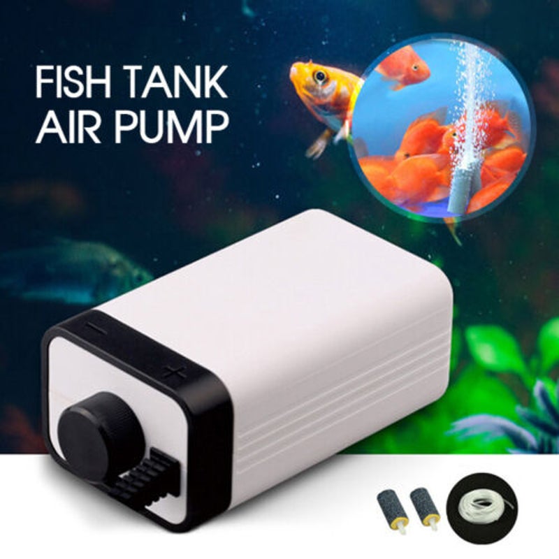 Buy COLOURFUL - Dual Outlet Aquarium Air Pump, Fish Tank Aerator