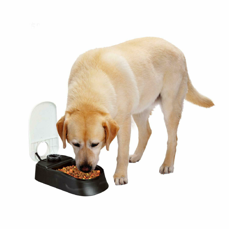 Ozoffer Automatic Pet Feeder for Dogs and Cats Food Station 48 Hours Timer Pawise