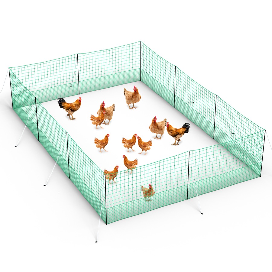 Buy Advwin Poultry Net, 1.15 * 21M Chicken Netting with 20 Posts, Fence ...