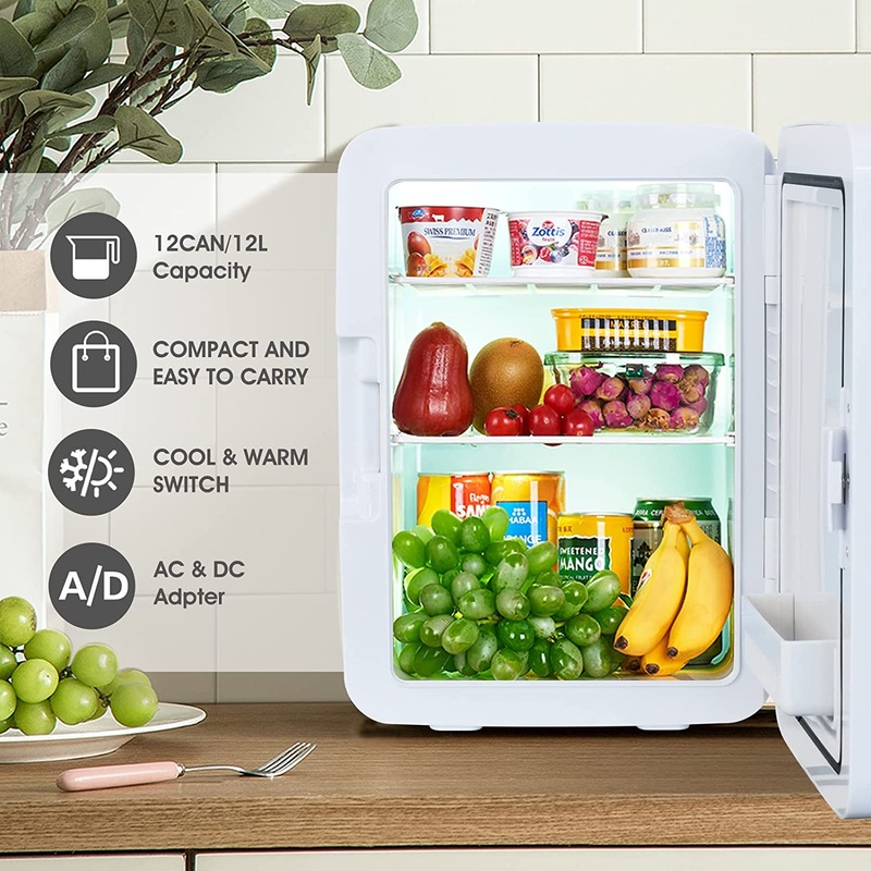 Buy Advwin 12L Mini Fridge Temperature Control Digital Display AC/DC