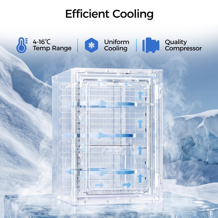 Advwin 20L Mini Bar Fridge, Portable Compact Refrigerator Cooler with Adjustable Temperature, Wine Cooler for Beer, Wine, Soda, Countertop Small Fridge for Office, Bedroom, Black