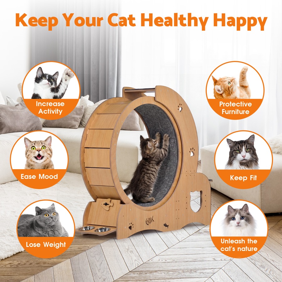 Advwin All-in-one Cat Exercise Wheel Cat Treadmill with Cat Bed Scratching Board Food Bowl