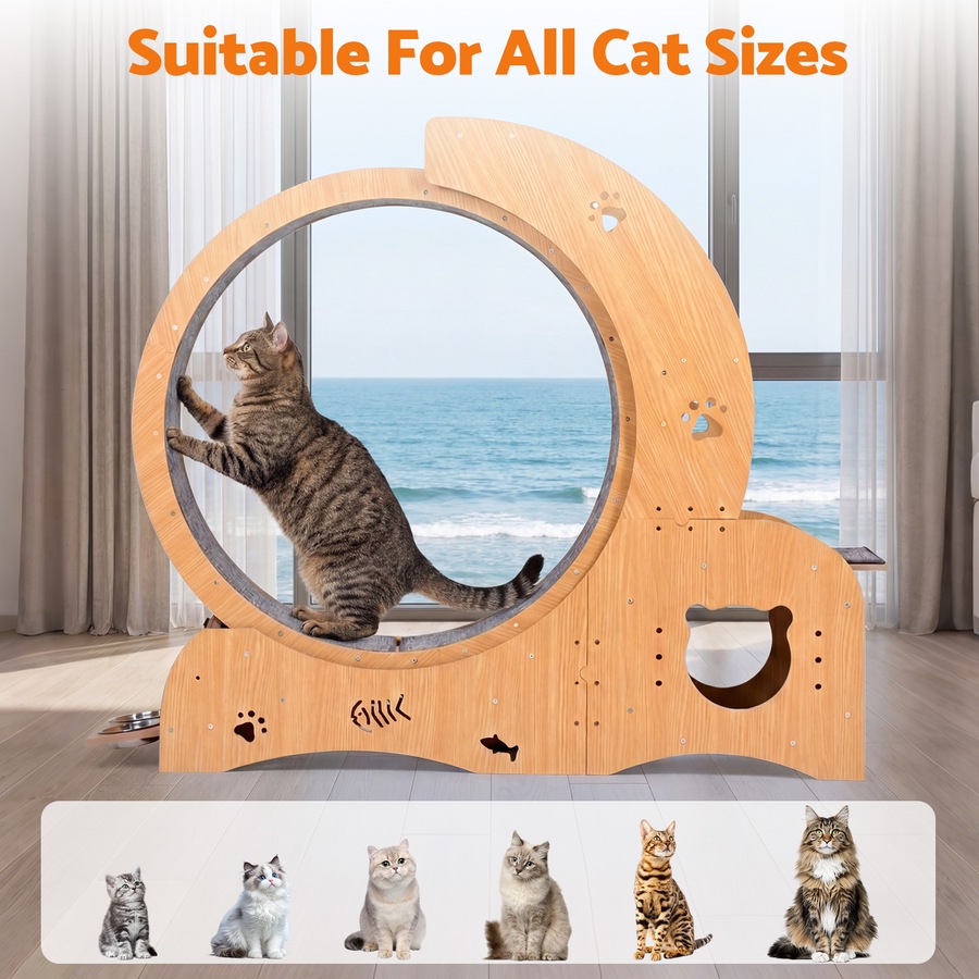 Advwin All-in-one Cat Exercise Wheel Cat Treadmill with Cat Bed Scratching Board Food Bowl