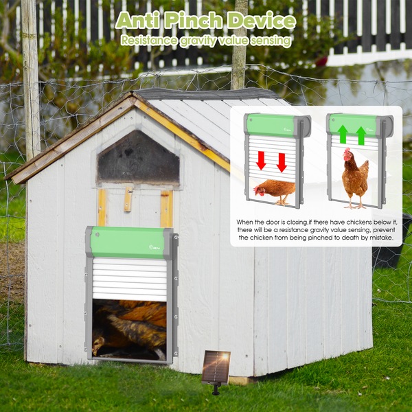 Image 6