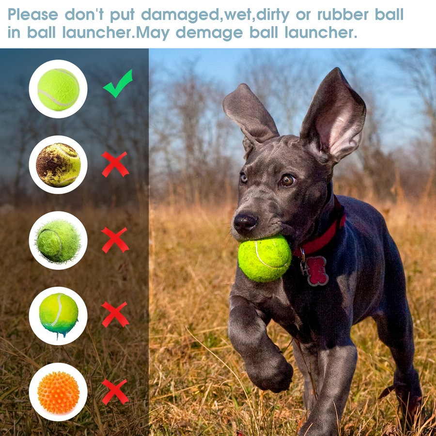 Advwin Automatic Dog Ball Launcher Automatic Tennis Fetch Throwing + 6 Tennis