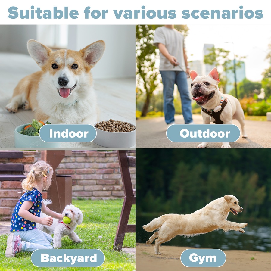 Advwin Automatic Dog Ball Launcher Automatic Tennis Fetch Throwing + 6 Tennis