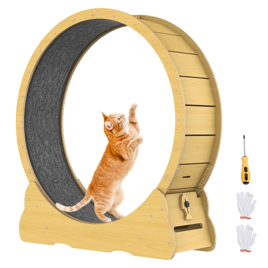 Advwin Cat Exercise Wheel Cat Treadmill Cat Running Wheel