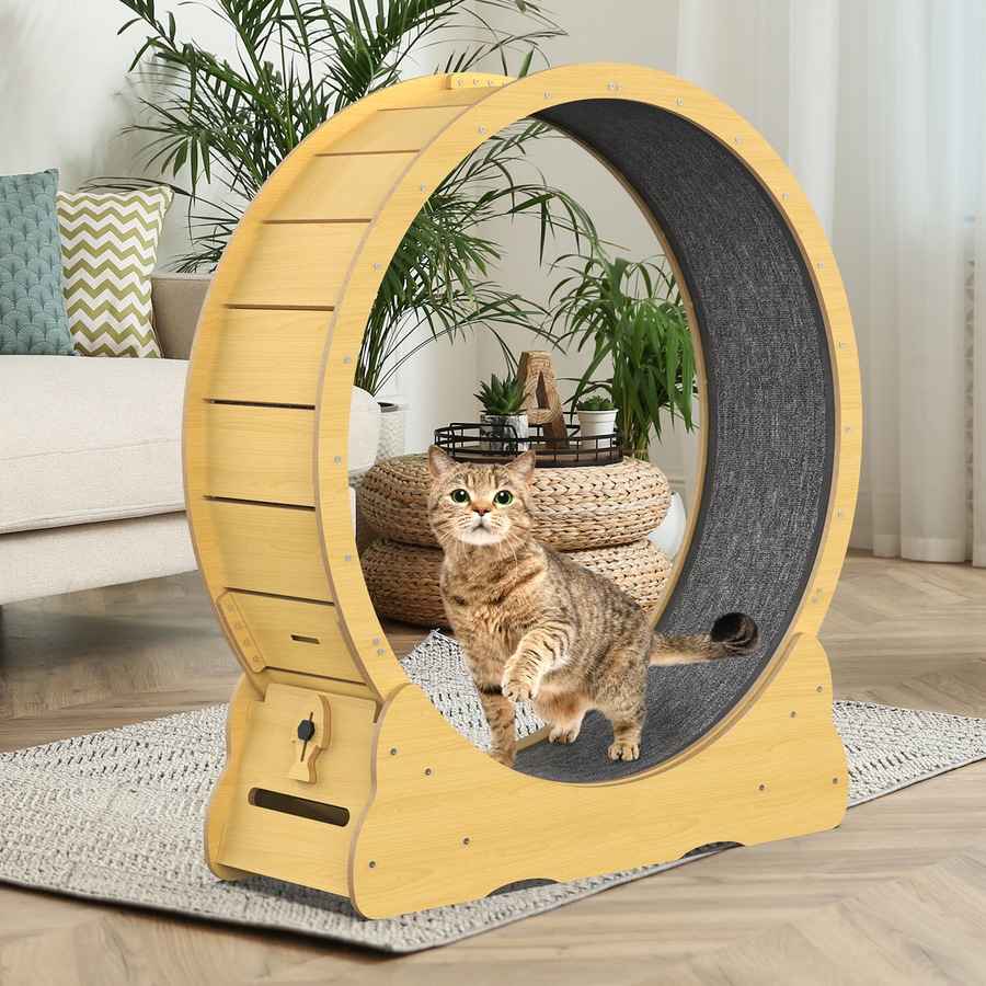 Advwin Cat Exercise Wheel Cat Treadmill Cat Running Wheel