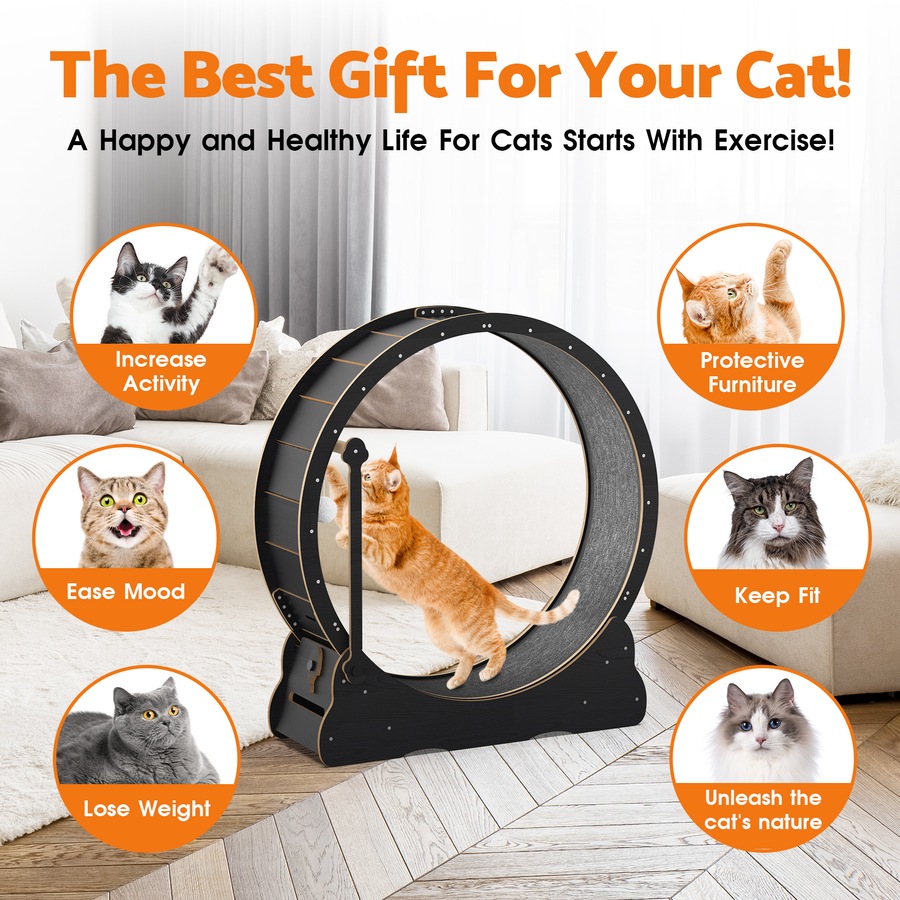 Advwin Cat Exercise Wheel with Teaser Cat Treadmill Cat Running Wheel