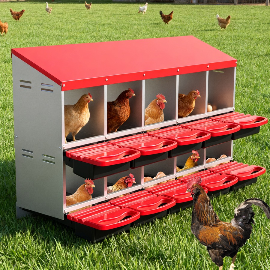 Buy Advwin Chicken Nesting Boxes 10-Hole Egg Laying Stations - Everyday ...