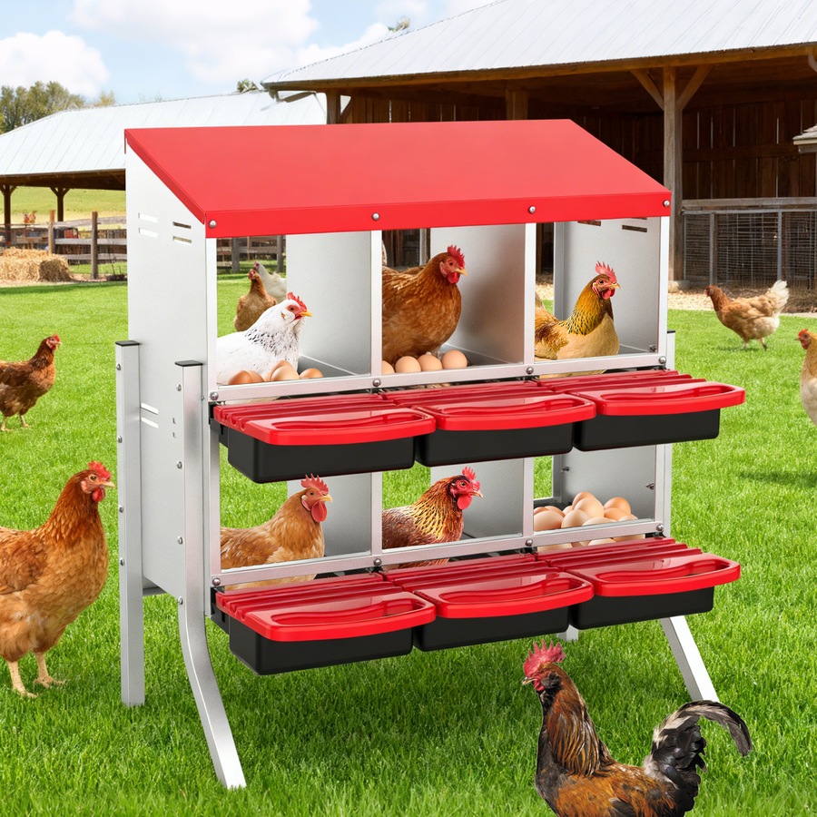 Buy Advwin Chicken Nesting Boxes 6-Hole Egg Laying Stations - Everyday ...