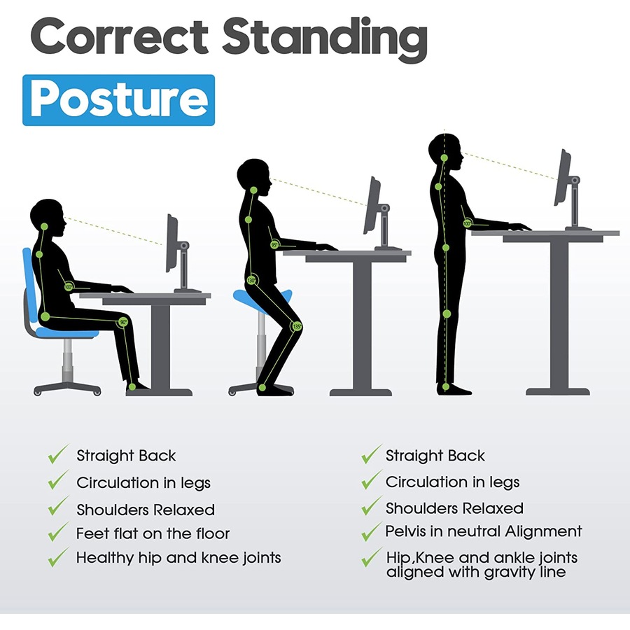 Adjustable Height Dual Motor Electric Standing Desk Sit Stand up Desk with 120cm Board Black