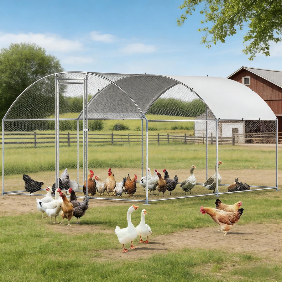 Buy Advwin Large Walk-in Pet Chicken Run Coop Rabbit Hutch - Everyday ...