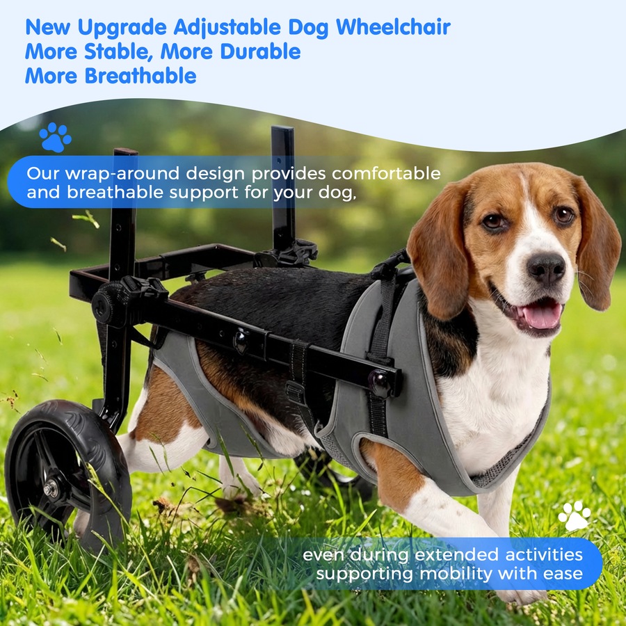 Advwin Medium Dog Wheelchair for Back Legs Mobility Support Lightweight Pet Wheelchair