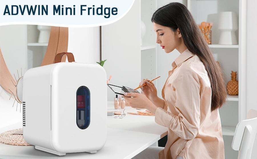 Buy Advwin 10L Portable Mini Fridge, Compact Car Refrigerator