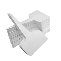 100 Pcs 6 X10cm Plastic Plant T-Type Tags Nursery Garden Labels, White