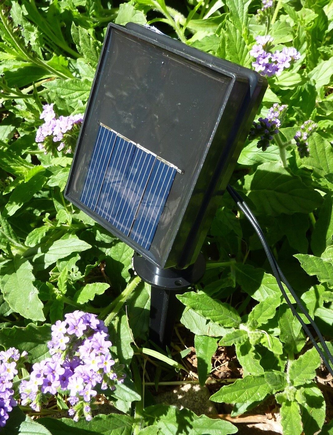 Image 6