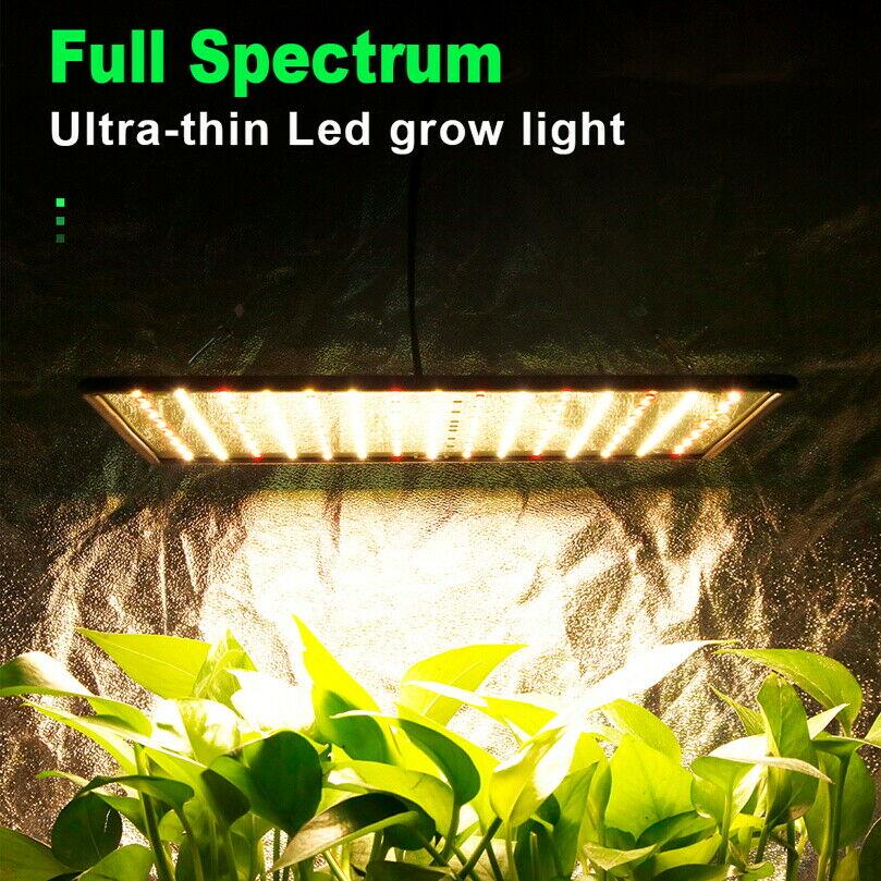 Buy 2000W 225 LED Grow Light Hydroponic Kits Growing Lamp Plant