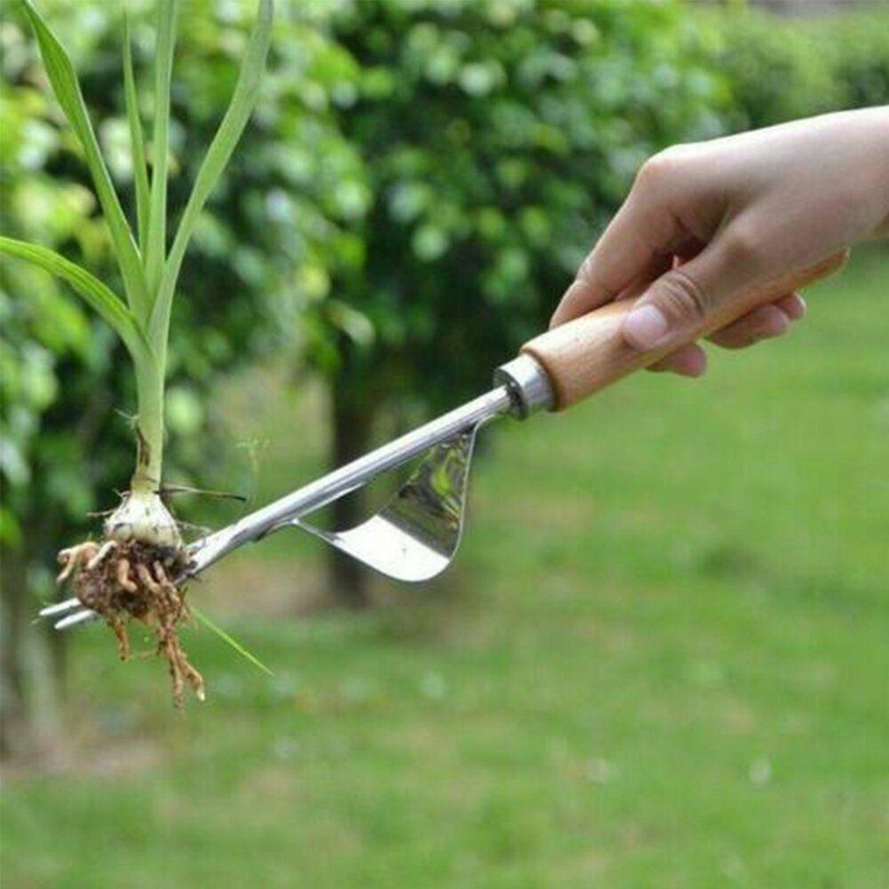 Buy Handy Weed Remover Weed Removal Garden Tool Hand Manual Weeding