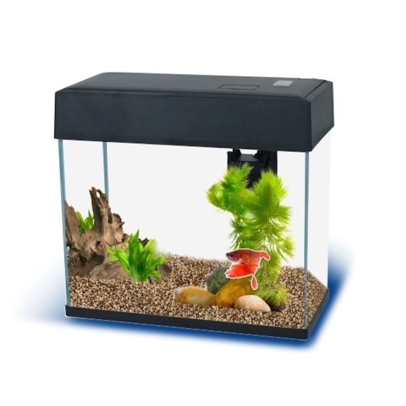 Buy Blue Planet Betta+ Plus Led Aquarium 8L Setup Heater - MyDeal