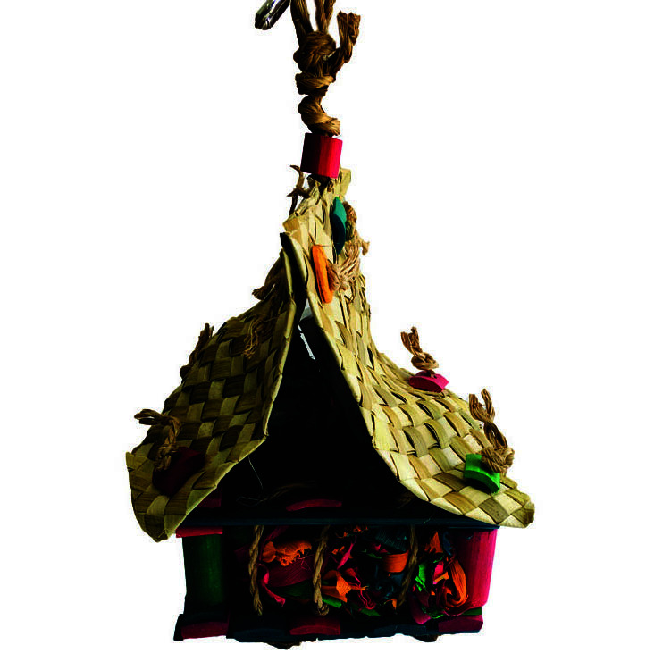 Image 2