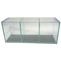 Petworx Fighter Tank Trio Polished Corners 3 Bay Betta Fighing Fish