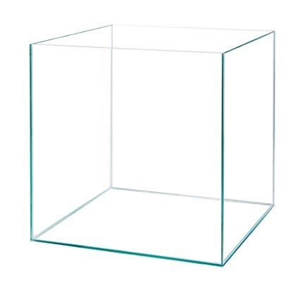 Petworx Glass Aquarium Cube 31X31X31Cm
