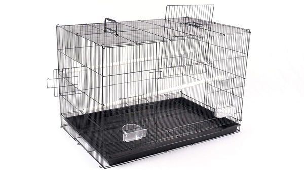 Image 2