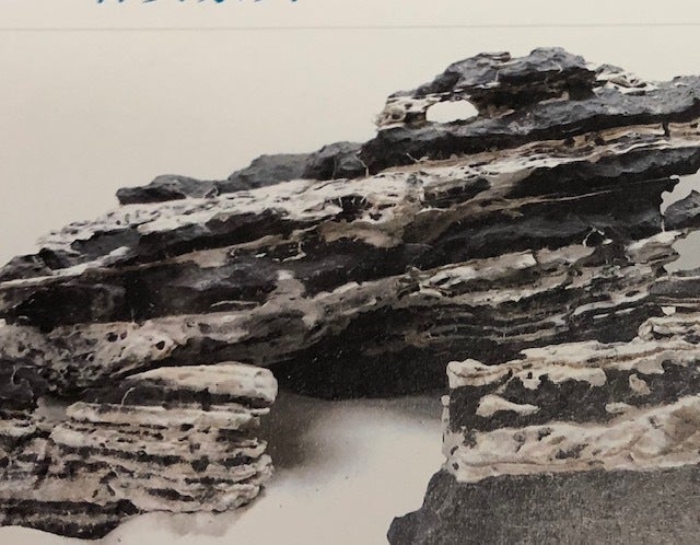 Petworx Fogging Mountain Rock Per1kg Zebra Stone