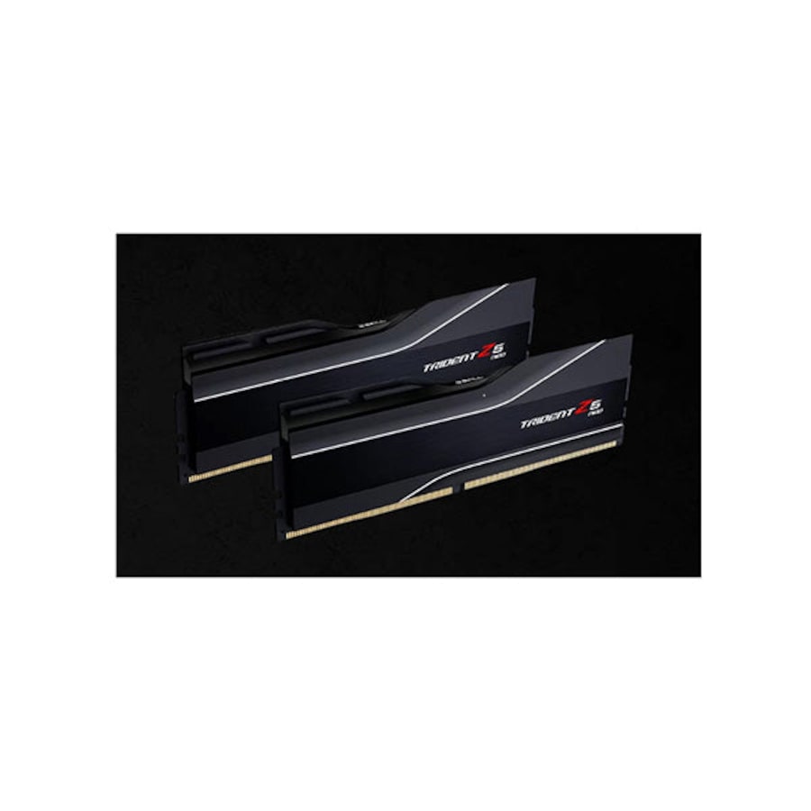 Gskill F5 8000J4048G24Gx2 Tz5N 48Gb 2 X 24Gb Ddr5 8000 Mts